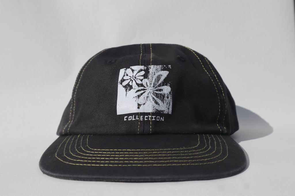 COLLY 6 PANEL
