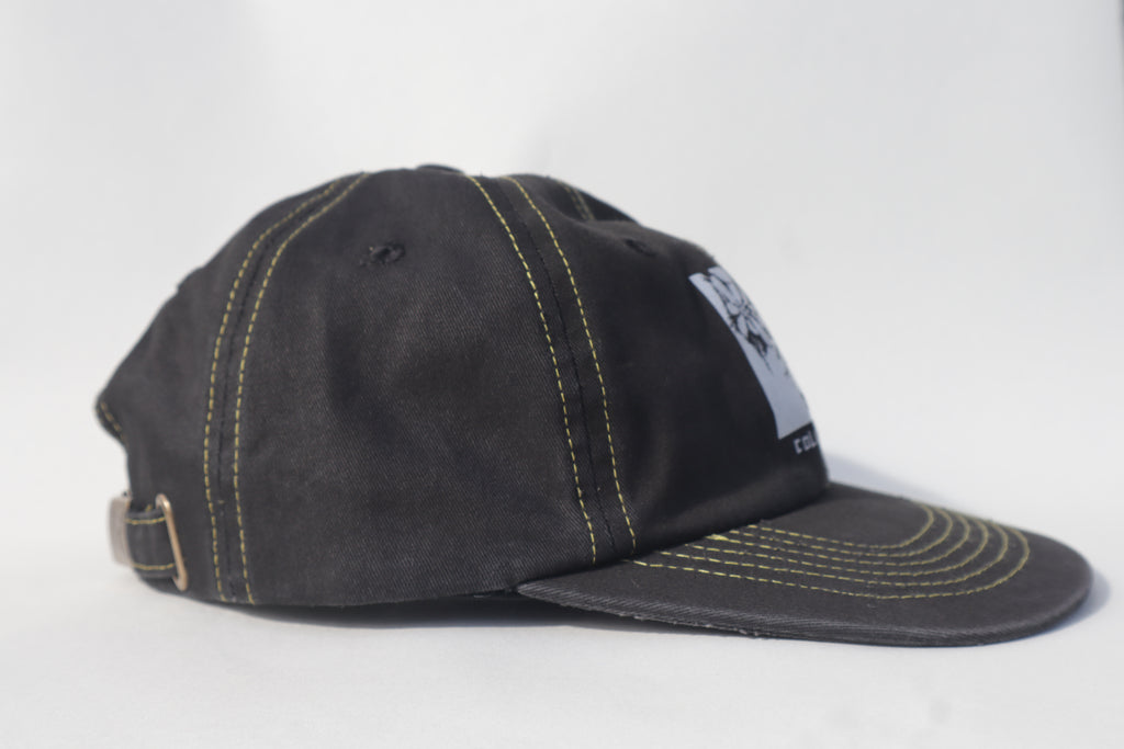 COLLY 6 PANEL