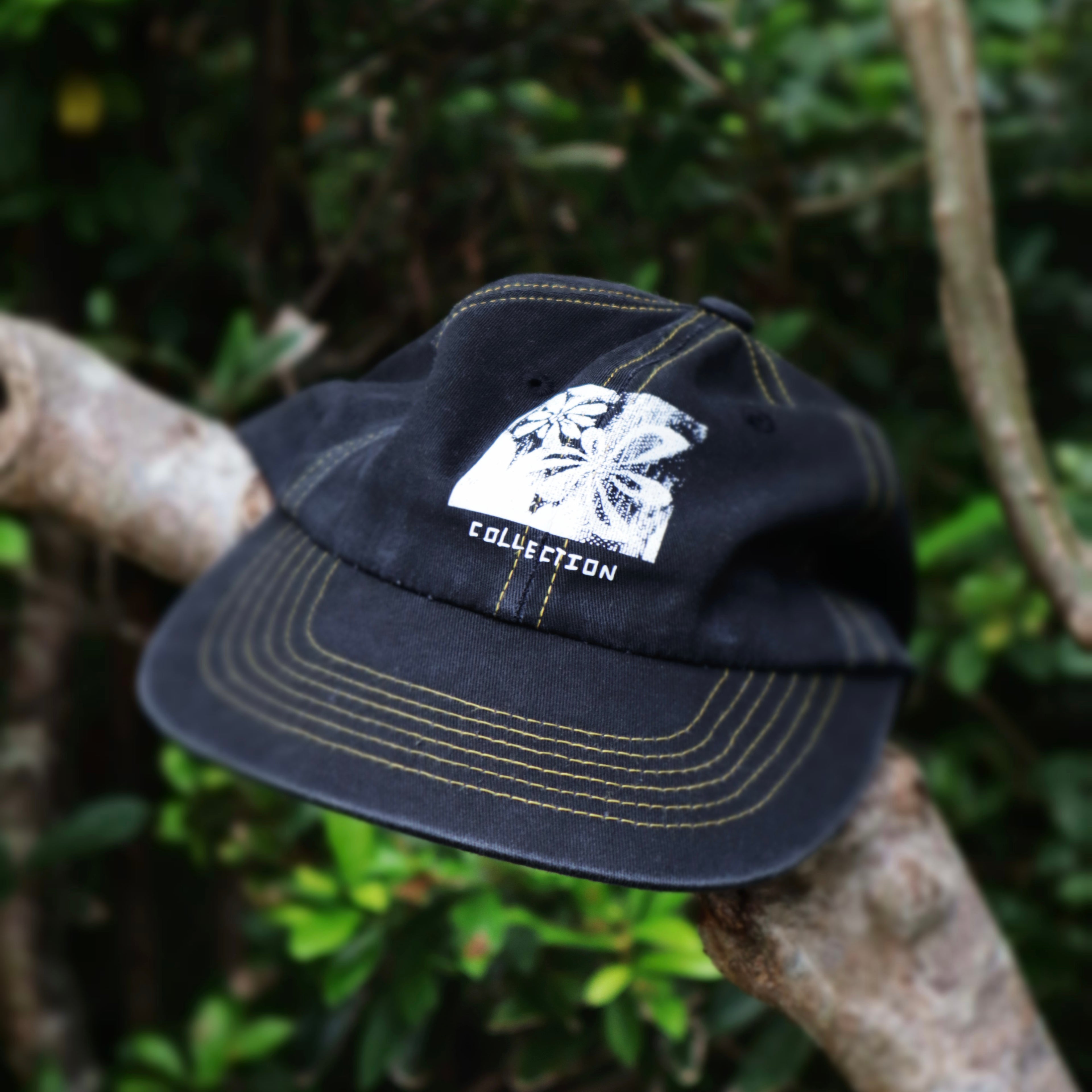 COLLY 6 PANEL